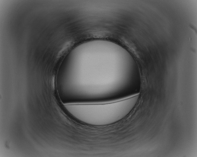 X0000097750019200803070853