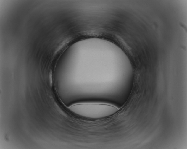 X0000097750020200803070853