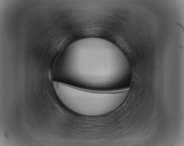 X0000097750021200803070853