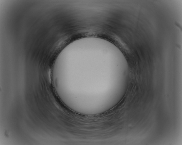 X0000097750022200803070853