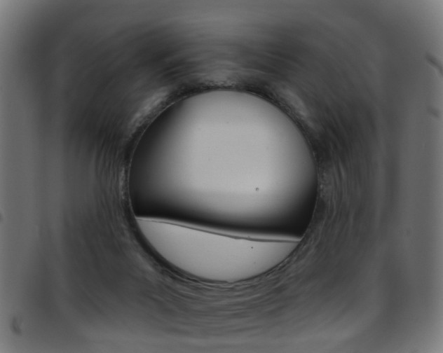 X0000097750023200803070853