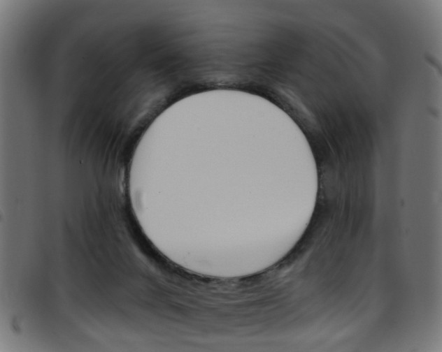 X0000097750024200803070853