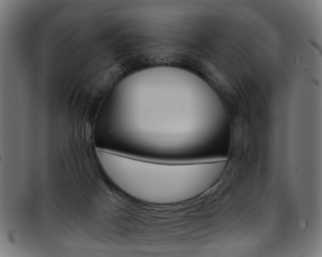 X0000097750025200803070853