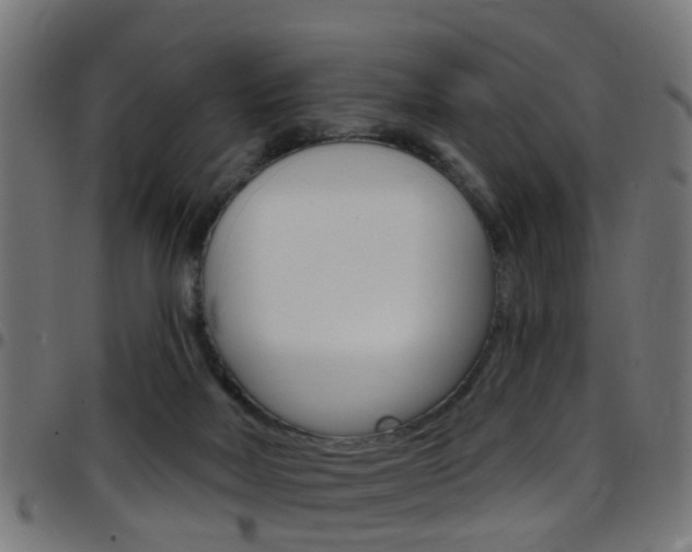 X0000097750026200803070853