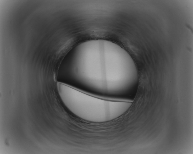 X0000097750027200803070853