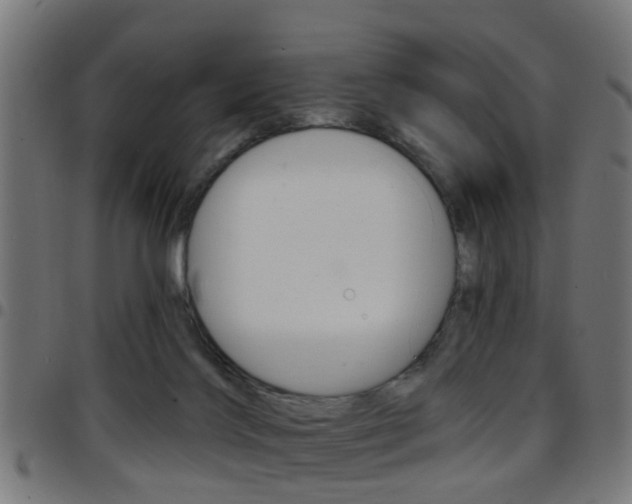 X0000097750028200803070853