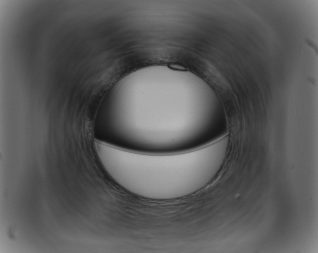 X0000097750029200803070853