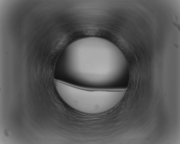 X0000097750031200803070853