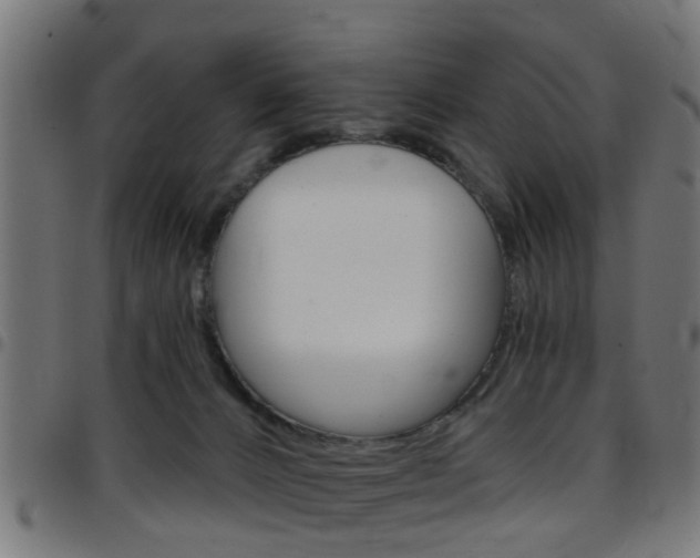 X0000097750032200803070853