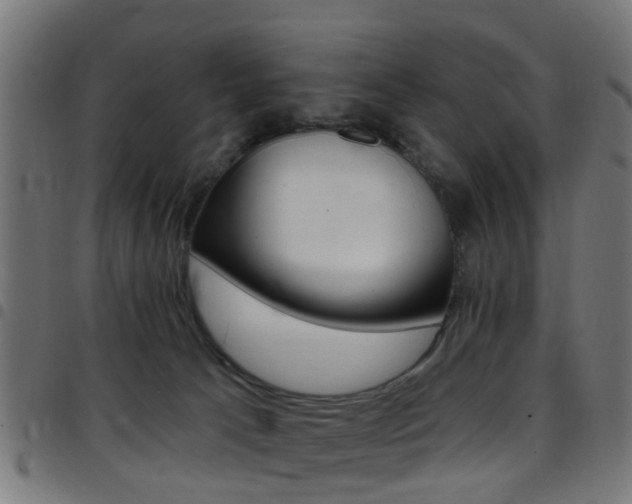 X0000097750033200803070853