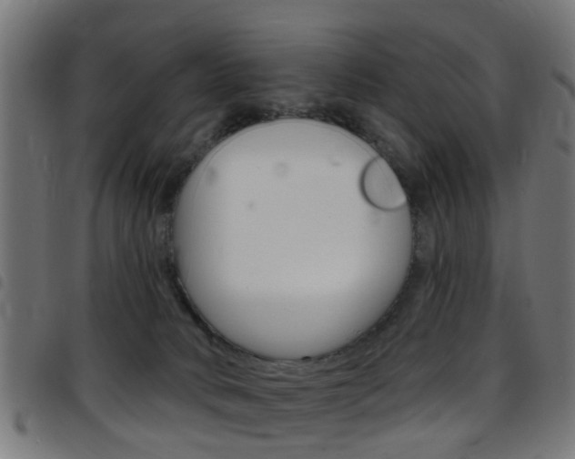 X0000097750034200803070853
