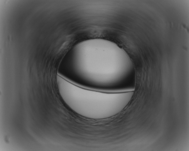 X0000097750035200803070853