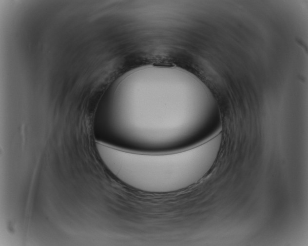 X0000097750037200803070853