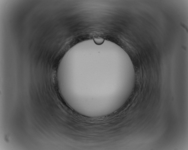 X0000097750038200803070853