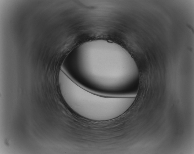 X0000097750039200803070853