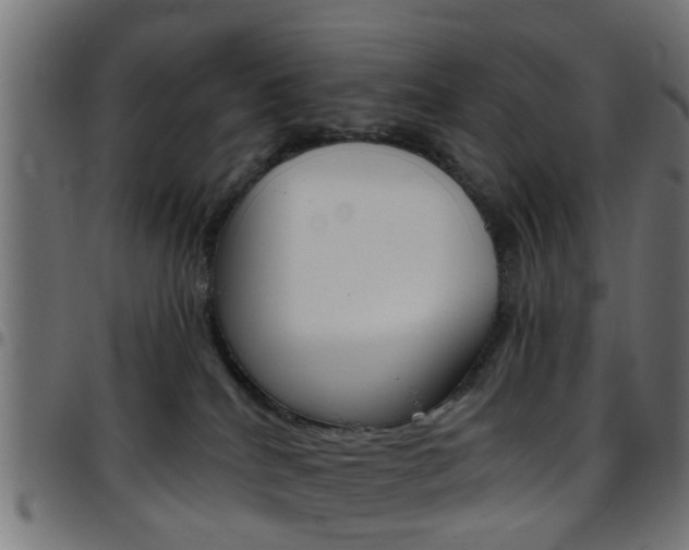 X0000097750040200803070853