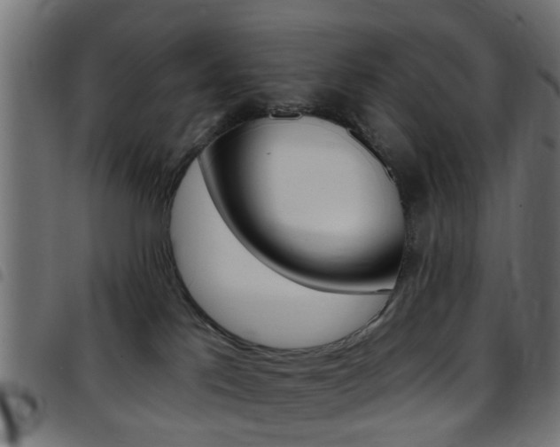 X0000097750041200803070853