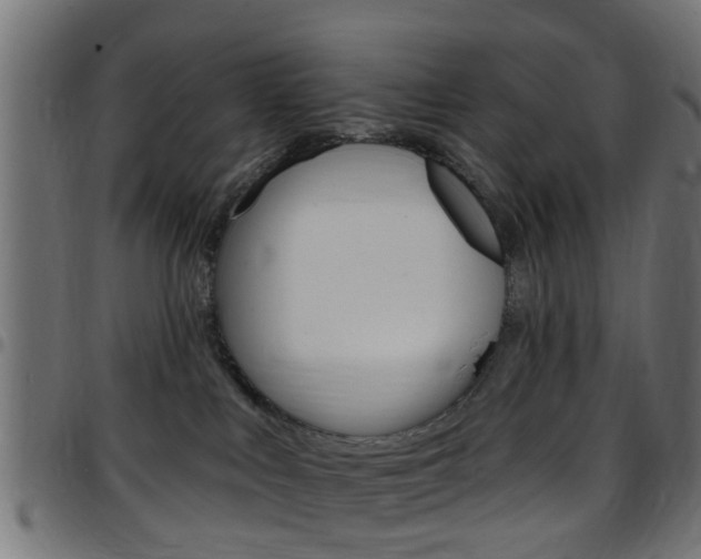 X0000097750043200803070853