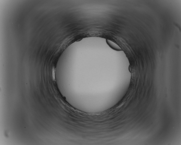 X0000097750046200803070853