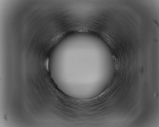 X0000097750047200803070853