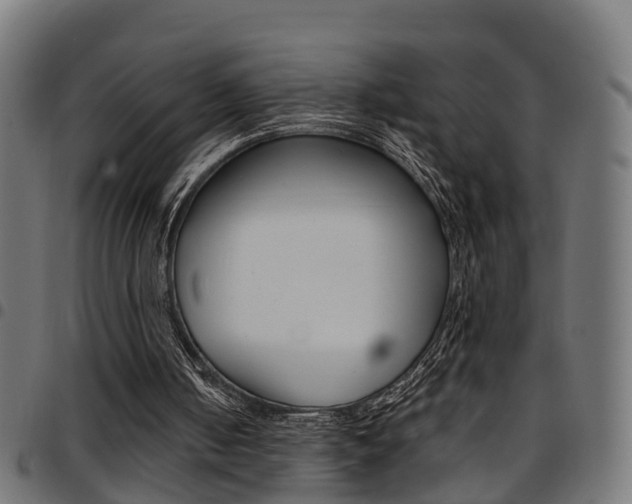 X0000097750050200803070852