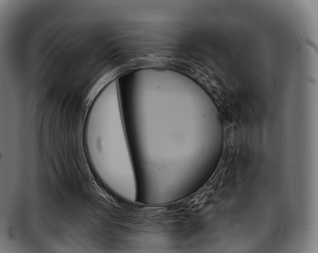 X0000097750051200803070852