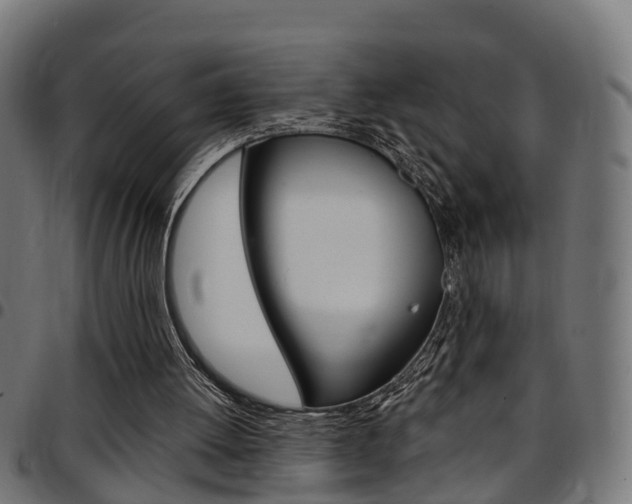 X0000097750052200803070852
