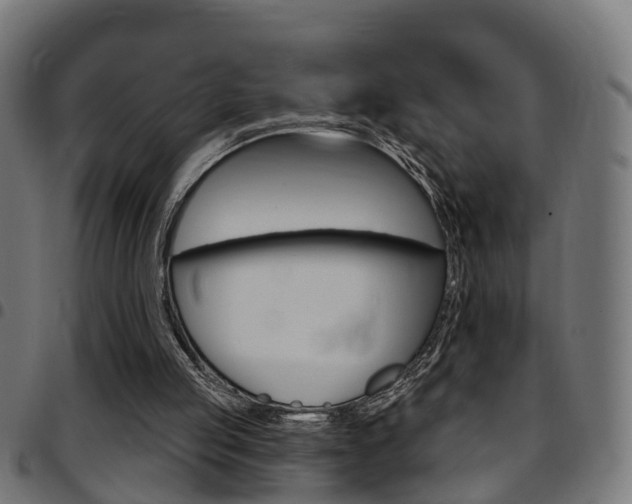 X0000097750053200803070852