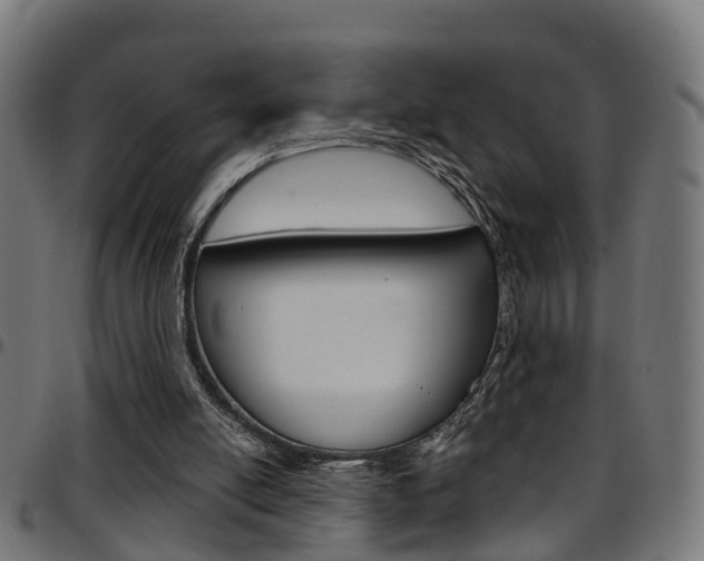 X0000097750054200803070852