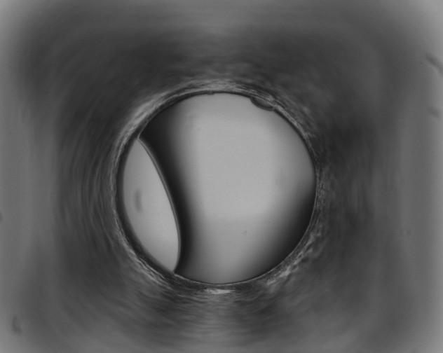 X0000097750055200803070852