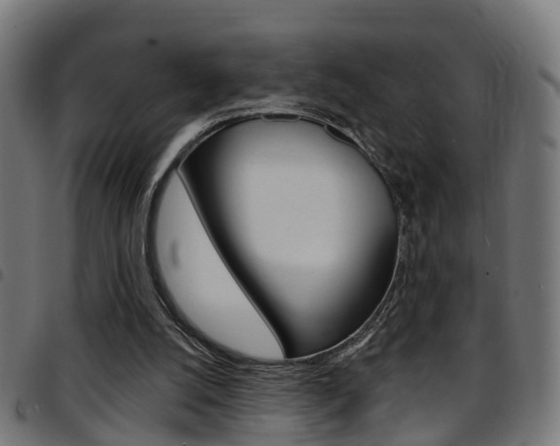 X0000097750056200803070852