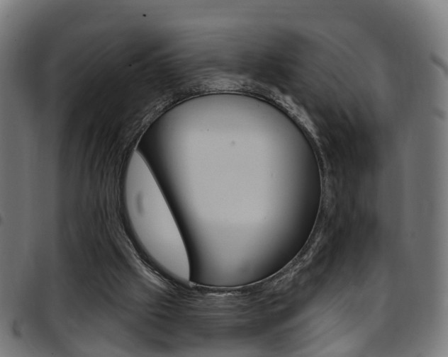 X0000097750057200803070852