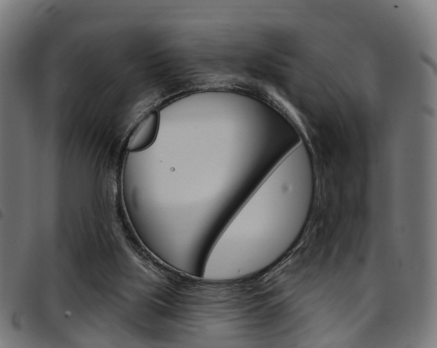 X0000097750059200803070852