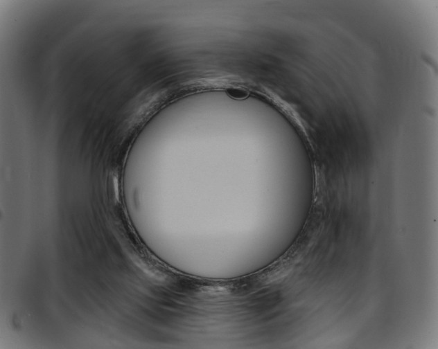X0000097750061200803070852