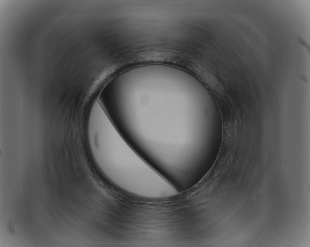 X0000097750064200803070852