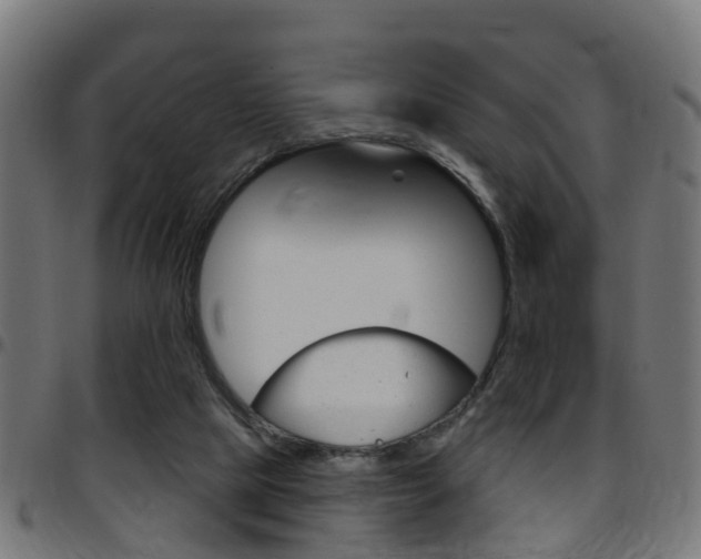 X0000097750065200803070852