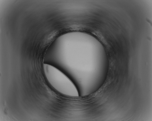 X0000097750066200803070852