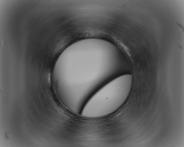 X0000097750067200803070852