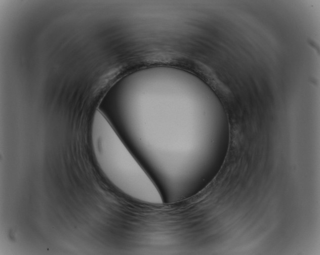 X0000097750068200803070852