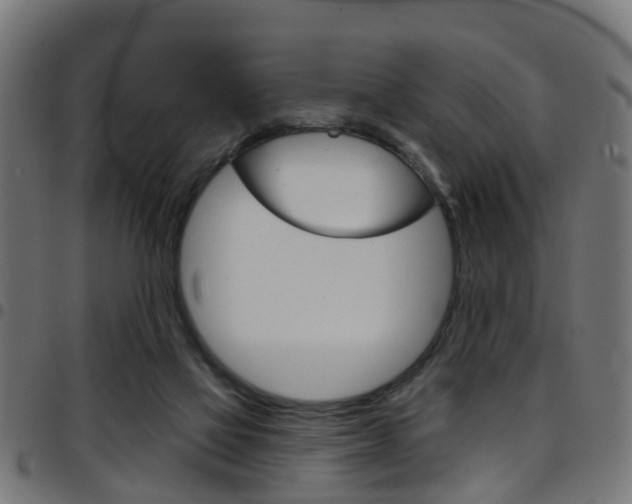 X0000097750069200803070852