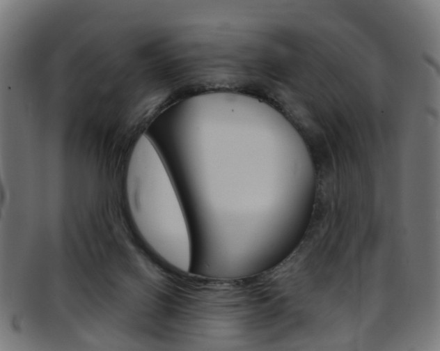 X0000097750070200803070852