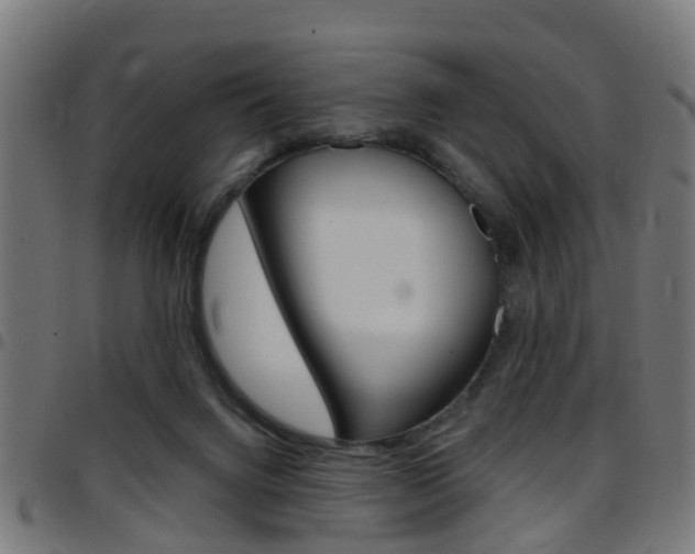 X0000097750072200803070852