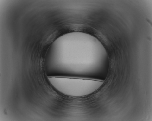 X0000097750073200803070852