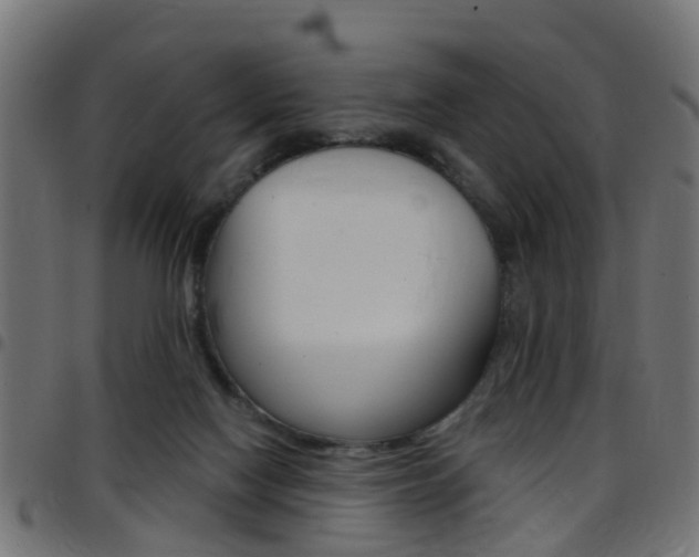 X0000097750074200803070852