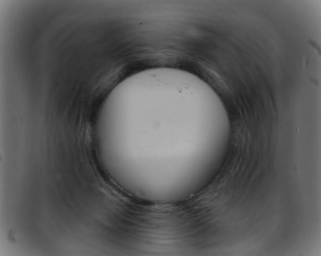 X0000097750077200803070852