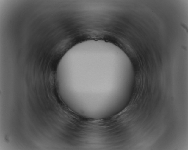 X0000097750078200803070852