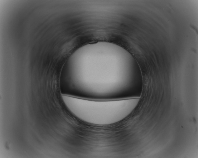 X0000097750080200803070852