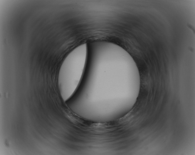 X0000097750082200803070852