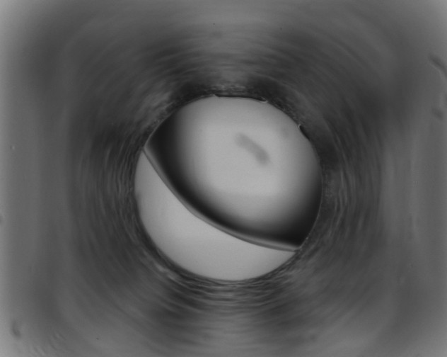 X0000097750084200803070852