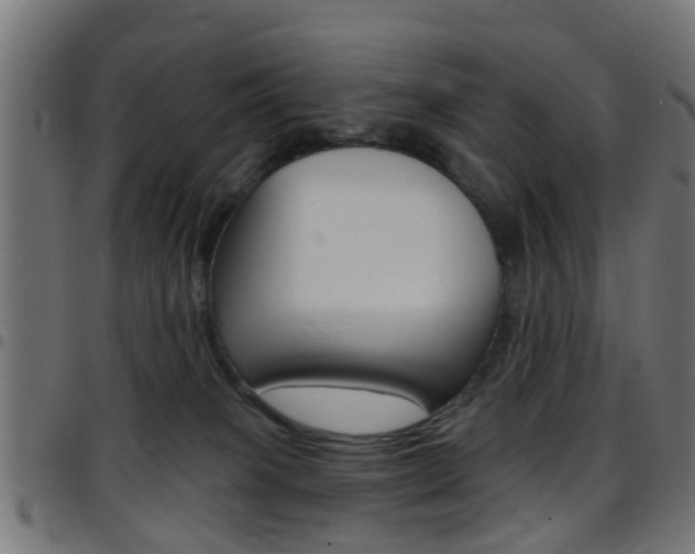 X0000097750085200803070852